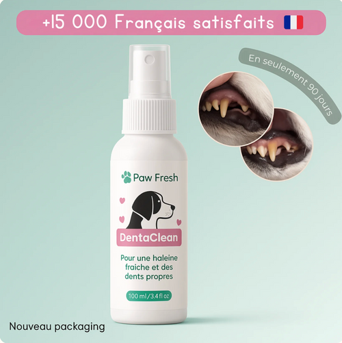 🦷 Dentaclean™ – Le soin dentaire naturel pour chiens