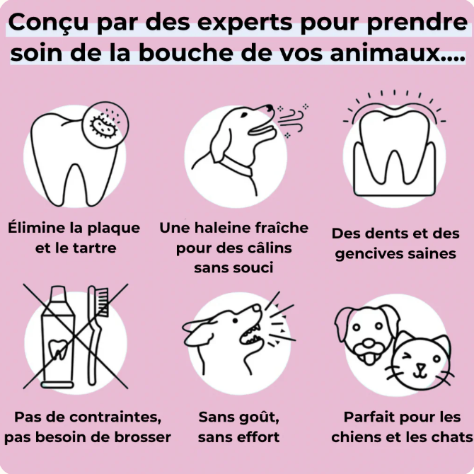 🦷 Dentaclean™ – Le soin dentaire naturel pour chiens