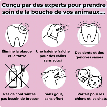 🦷 Dentaclean™ – Le soin dentaire naturel pour chiens