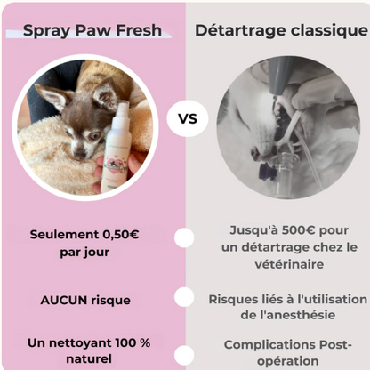 🦷 Dentaclean™ – Le soin dentaire naturel pour chiens