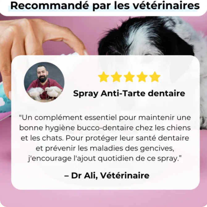 🦷 Dentaclean™ – Le soin dentaire naturel pour chiens