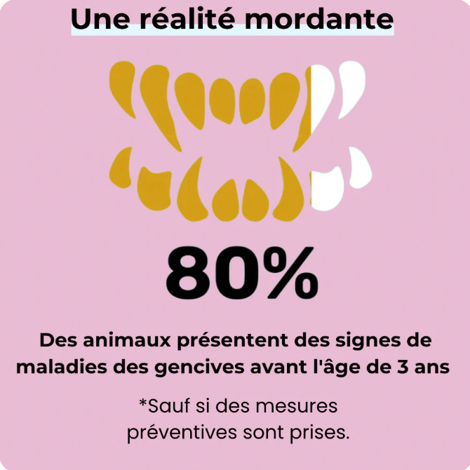 🦷 Dentaclean™ – Le soin dentaire naturel pour chiens