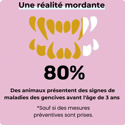 🦷 Dentaclean™ – Le soin dentaire naturel pour chiens